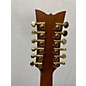 Used Schecter Guitar Research Used Schecter Guitar Research Diamond Series Elite 12 String Brown 12 String Acoustic Electr...