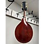 Vintage Gibson 1919 A-3 MANDOLIN Mandolin