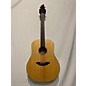 Used Breedlove Passport D200/SMP Acoustic Guitar thumbnail