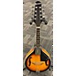 Used Savannah Used Savannah SA-100 A STYLE MANDOLIN Sunburst Mandolin thumbnail