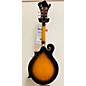 Used Gold Tone GM-35 Mandolin