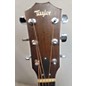 Used Taylor 214CE Acoustic Electric Guitar