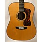 Used Guild D50 Acoustic Guitar