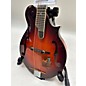 Used Michael Kelly EVO LEGACY DELUXE Mandolin