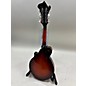 Used Michael Kelly EVO LEGACY DELUXE Mandolin