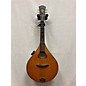 Used Weber ASPEN #1 Mandolin thumbnail