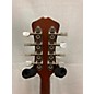 Used Weber ASPEN #1 Mandolin