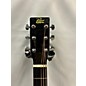 Used Rogue Rg-624 Acoustic Guitar