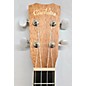 Used Cordoba 15CM Concert Ukulele