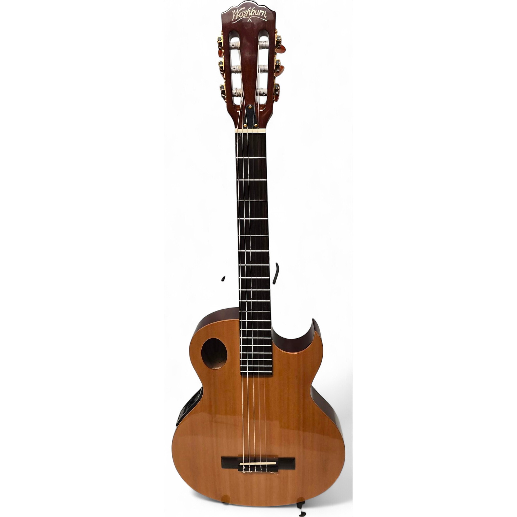 Washburn Guitars