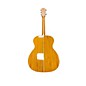 Used Used Washburn HG75SEG-O Natural Acoustic Electric Guitar