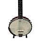 Used Washburn B6 A Banjo