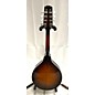 Used Kentucky 1960s KM180S Mandolin