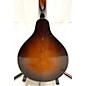 Used Kentucky 1960s KM180S Mandolin