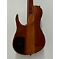 Used Used D'MARK FOR USA CUSTOM OMEGA 5 Natural Electric Bass Guitar