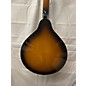 Used Epiphone 2020s EF30SACH1 Mandolin