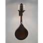 Used The Loar Used The Loar LM110 VINTAGE BROWN BURST Mandolin