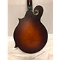 Used The Loar LM310 F MODEL Mandolin