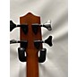 Used Kala Ubass Bass Ukulele