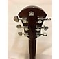 Used Don Oriolo Used Don Oriolo WS33 Felix The Cat Tobacco Burst Acoustic Electric Guitar