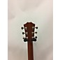 Used Taylor Used Taylor GT Urban Ash Natural Acoustic Guitar