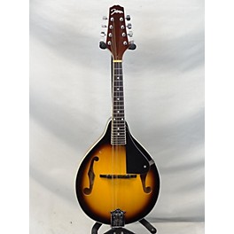 Used Johnson Ma-100 Mandolin