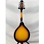 Used Johnson Ma-100 Mandolin