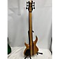 Used Tobias MAPLE WENGE PRO 6 Electric Bass Guitar