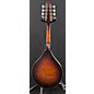 Used The Loar LM110 BRB Mandolin