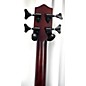 Used Kala Rumbler U-Bass Acoustic Bass Guitar thumbnail