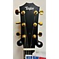 Used Taylor Used Taylor 224CEKDLX EDGE BURST Acoustic Electric Guitar