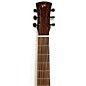 Used Andrew White Guitars Used Andrew White Guitars Cybele 1013w Natural Acoustic Guitar