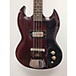 Used Used Savoy 1960s SG SHORT SCALE Black Cherry Electric Bass Guitar thumbnail