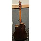 Used Breedlove Atlas Stage Series D25/SRE Acoustic Electric Guitar