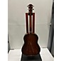 Used Taylor 517e Ironbark Acoustic Electric Guitar