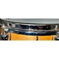 Used Premier 12X6.5 Maple Snare Drum