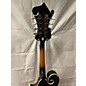 Used Washburn M3EK-A Mandolin