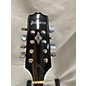 Used Johnson MA-380 MANDOLIN Mandolin