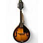 Used Rogue rm-100a 2 Color Sunburst Mandolin thumbnail