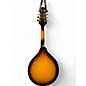 Used Rogue rm-100a 2 Color Sunburst Mandolin