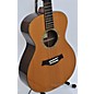 Used Taylor CUSTOM GC Acoustic Guitar