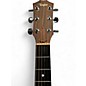 Used Taylor 312CEL1 Natural Acoustic Electric Guitar