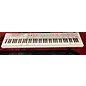 Used Alesis Recital Digital Piano thumbnail