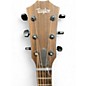 Used Taylor AD12E Tobacco Sunburst Acoustic Guitar