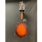 Used The Loar LM310F Mandolin