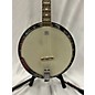 Used Johnson Jb 300 Banjo