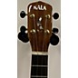 Used Kala Curly Mango Ukulele