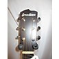 Used Breedlove Used Breedlove Passport MAHOGANY DREADNOUGHT Mahogany Acoustic Electric Guitar