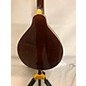 Used Alvarez A100 Mandolin