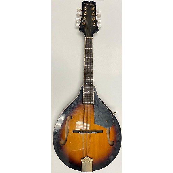 Used Mitchell AM100 Mandolin